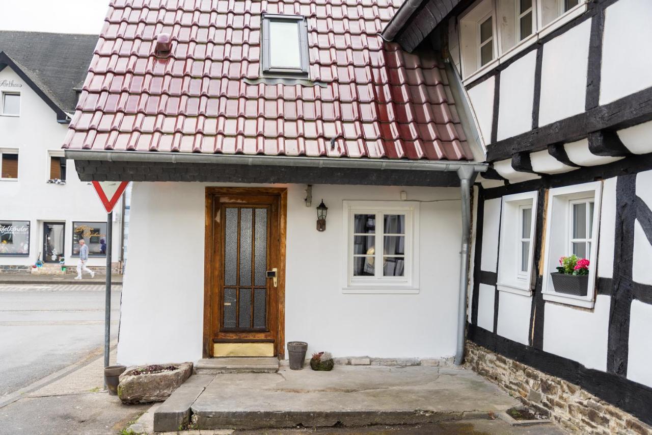 阿德瑙Haus Zum Ring别墅 外观 照片